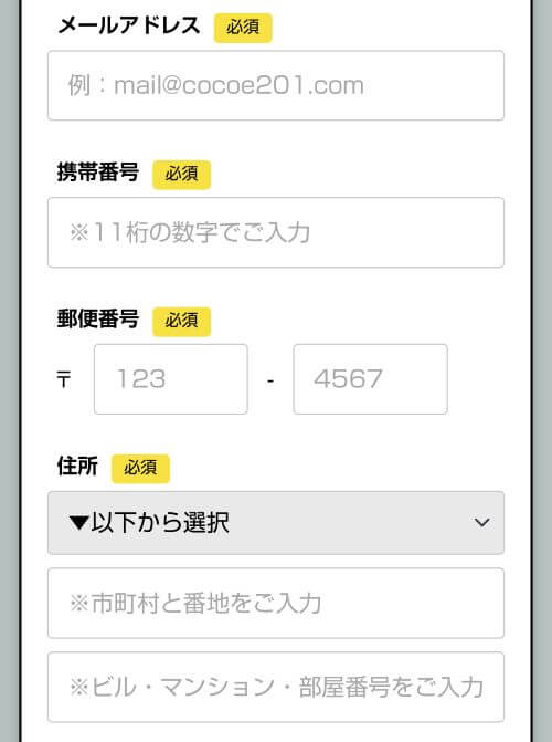 ココイーメールアドレス等入力画面