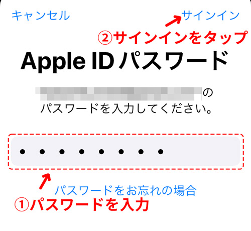 Apple ID のパスワードを入力して「サインイン」をタップ