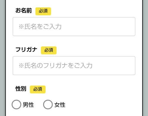 ココイー氏名入力画面
