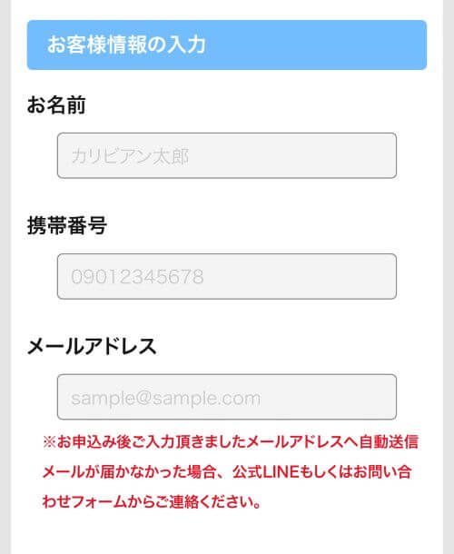 お客様情報入力画面