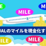 ANAやJALのマイルを現金化する方法！