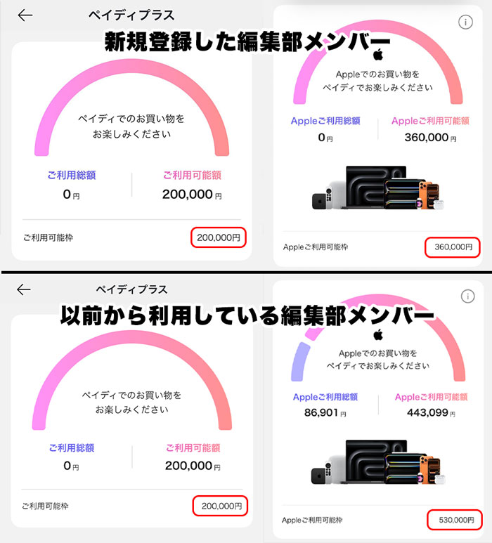編集部で確認した利用可能額
新規登録した編集部メンバー｜ペイディあと払い：20万円、Appleご利用枠：36万円
以前から利用している編集部メンバー｜ペイディあと払い：20万円、Appleご利用枠：53万円
