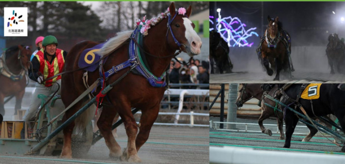 ばんえい競馬