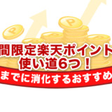 期間限定楽天ポイントの使い道6つ！期限までに消化するおすすめ方法