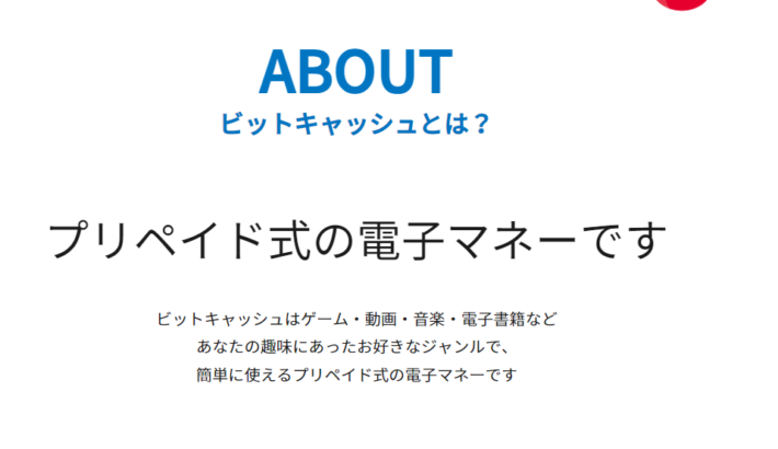 ギャンブルサイトで使える決済方法「ビットキャッシュ」