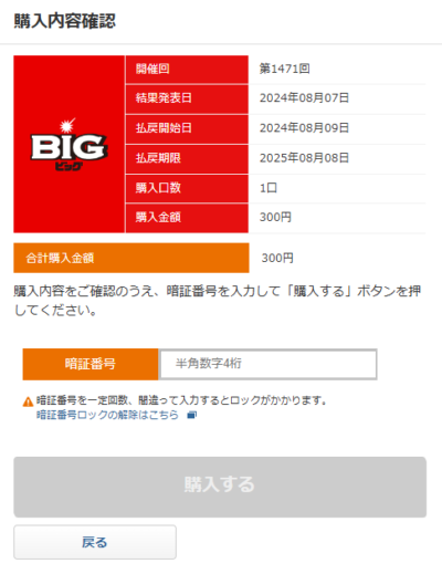 BIGの購入画面