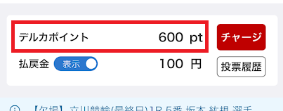 「デルカ」というポイントになる