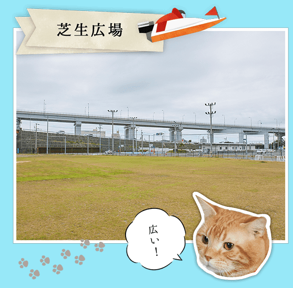 競艇場の芝生広場