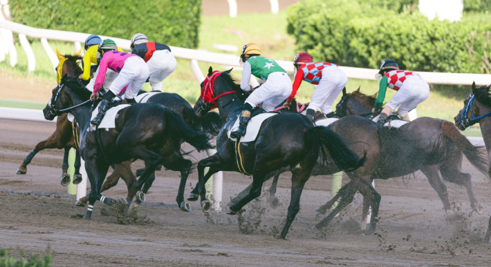 競馬