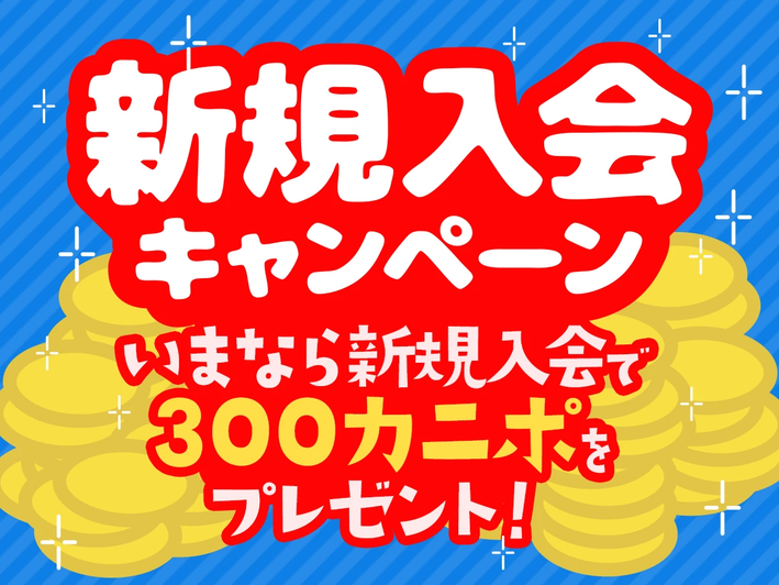 新規登録で300ポイントもらえる