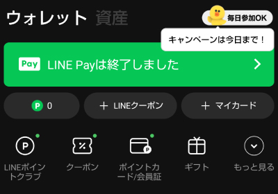 現在はLINE Payの項目が表示されない
