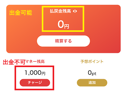 ギャンブルサイトにチャージしたら投票専用のポイントになる
