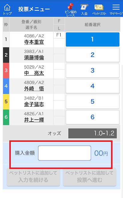 レース番号や賭け式、買い目などを選択し、金額を入力