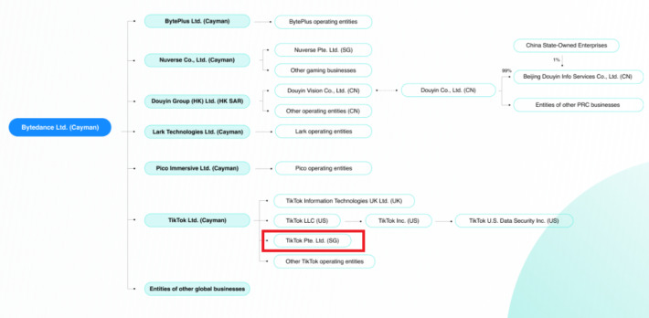 TikTok Pte Ltdは中国のByteDanceという会社の子会社