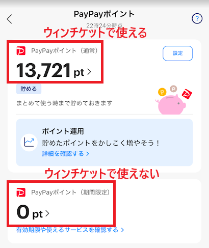ウィンチケットで使えるのは、通常のPayPayポイントだけ