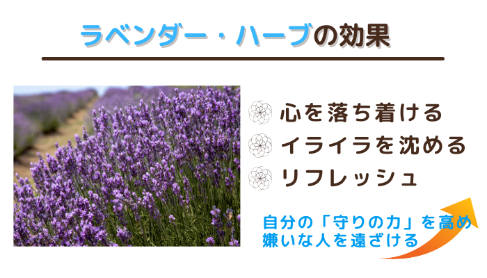 ラベンダー・ハーブの「心を落ち着ける」「イライラを沈める」「リフレッシュ」効果で、自分の守りの力を高め、嫌いな人を遠ざける