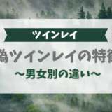 偽ツインレイの特徴！男女別の違い