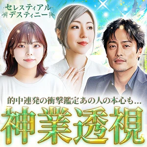 セレスティアルデスティニー