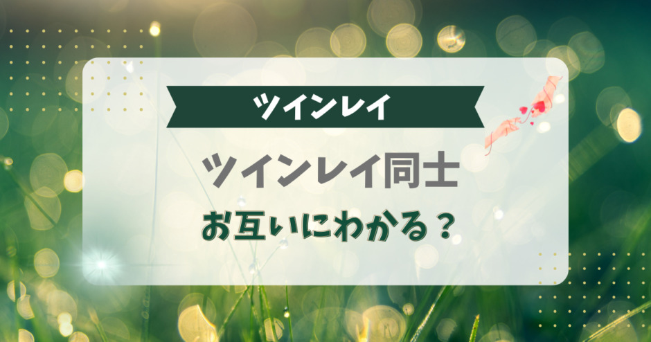 ツインレイ同士はお互いにわかる？